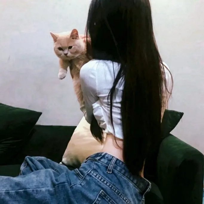 编辑情人梦