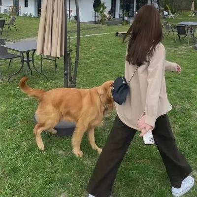 商谍